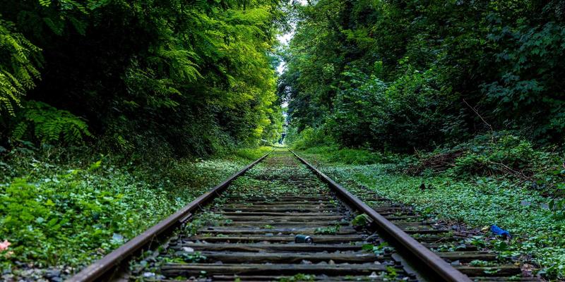 LEED认证关键解读：温州米兰环保建材如何为绿色建筑加分？