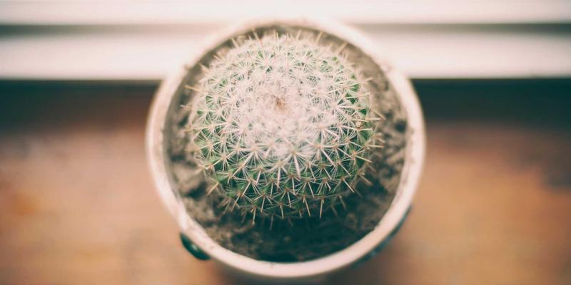 仿古建材的现代工艺：米兰技术如何助力温州历史建筑修复与装饰？