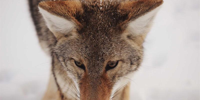 商业综合体装饰升级:米兰建材如何提升温州购物中心的体验与价值?