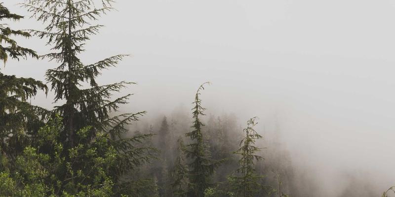 温州米兰建材供应链揭秘：从意大利港口到温州工地的物流与品控全流程